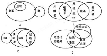 碳元素是构成细胞的最基本元素.对此最有说服力的解释是A.碳在细胞的各种化合物中含量最多B.碳在自然界中含量最为丰富C.在细胞的各种化合物中都含有碳D.碳链构成了有机物的基本骨架 