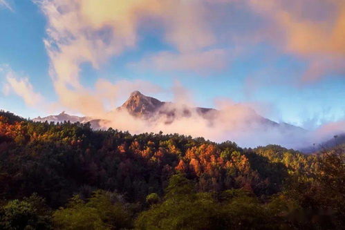 真正会玩的人,都在周末悄悄打卡云髻山