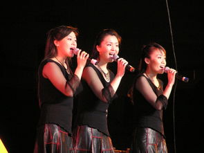中国歌坛最早的和音组合 黑鸭子演唱组合 