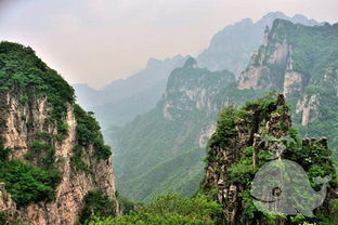 女人梦见高山耸立在眼前(女人梦见高山是什么意思)