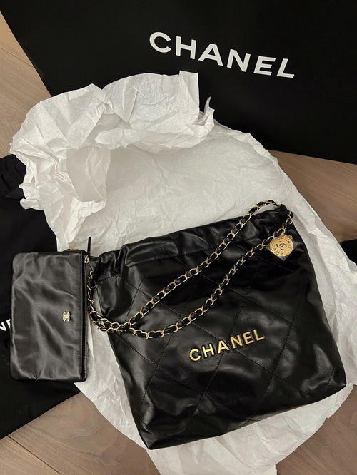 Chanel 22 bag 