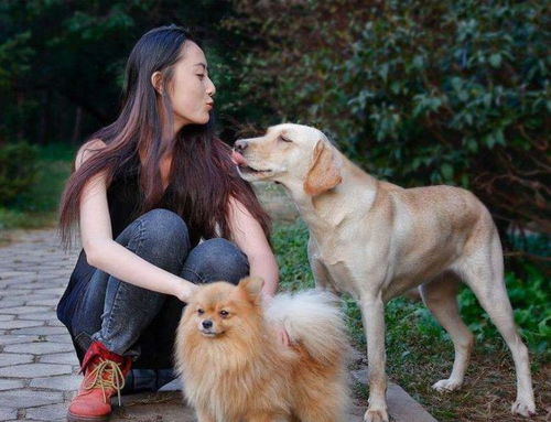 为什么单身女性喜欢养宠物,而且是大型犬 是因为有安全感么