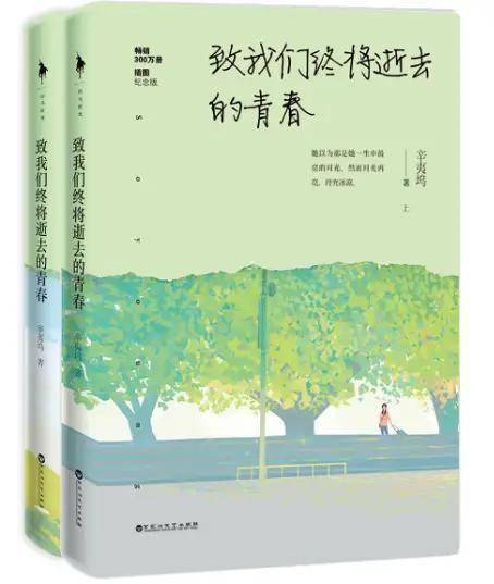 致我们终将逝去的青春 30句经典语录,怀念过去,启迪未来