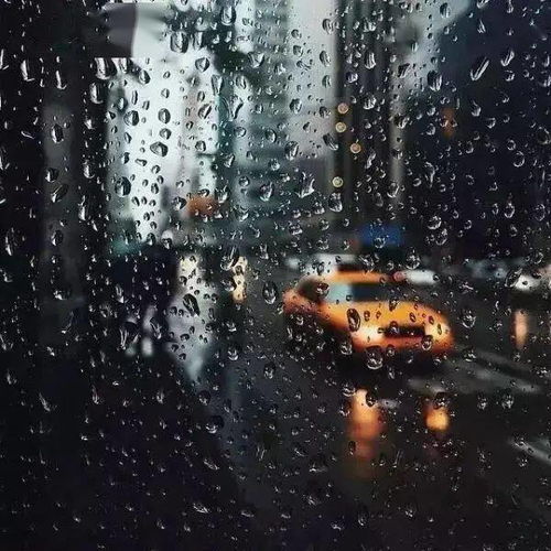 下雨天励志的句子—冒雨前行励志句子？