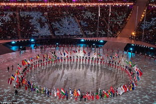 为什么俄罗斯在平昌冬奥会不能穿带有本国国旗的衣服，不能升国旗奏国歌呢