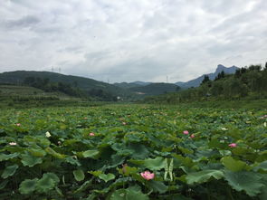 贵州黔东南施秉甘溪乡