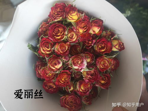 母亲节送干花好还是鲜花好(送母亲干花送什么花比较好)