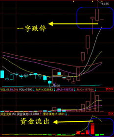 ST狮头一字跌停，资金显示流出？ 之前问过一次，本来想追问，点错为采纳为标准答案了，所以再提一次。