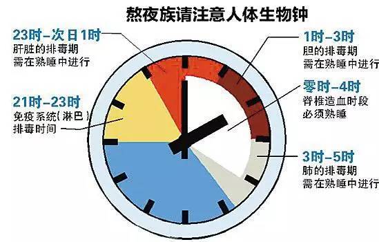 最后40多天,全国各地高三党都是几点睡几点起 熬夜必看