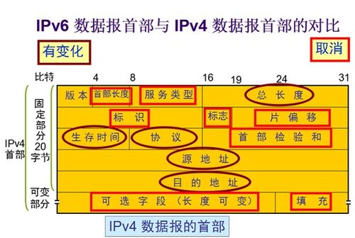 网络层IPv6协议 天天修仙 