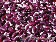紫花芸豆批发,2014 产品上市,紫花芸豆价格 