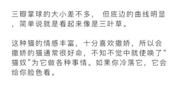 5种猫肉垫代表不同性格,有一种脾气最好 