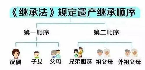 老年朋友,千万搞清自己的亲属关系,法律规定真不一样