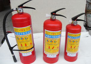 泡沫灭火器可用于带电灭火,泡沫灭火器可用于带电灭火 A正确 B错误