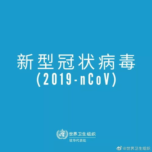 新型冠状病毒新闻播报100字（新型冠状病毒新闻播报100字2021） 第1张