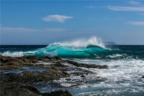 梦见海浪扑过来