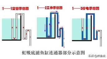 底滤鱼缸家族攻略 最强的鱼缸过滤设计在这,鱼缸水质浑浊不用愁 