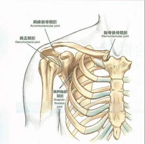 直角肩是一种病态吗(直角肩很罕见吗)