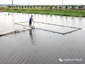 秋后肥水很关键,十大禁忌要知道