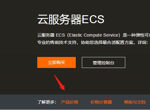 ecs云服务器是什么 (阿里云服务器是什么意思啊)