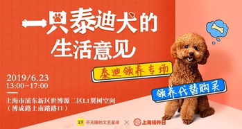 6.23 上海宠物领养日泰迪专场丨待领养宠物招募开始啦