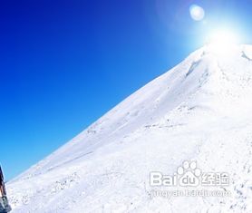 大雪山生存法则有哪些？