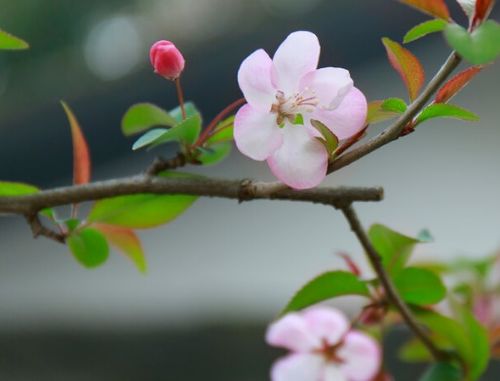 从2月初开始,运势非常好,财富惊喜,生活奔小康的四生肖