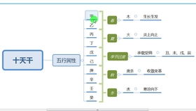 什么是八字 八字是干什么用的 长什么样子