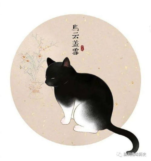 中国人养猫已有几千年历史,古代铲屎官又是如何养猫的呢
