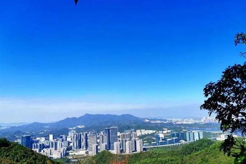 一个人不知道去哪里玩 深圳市内这些好去处,周末去刚刚好