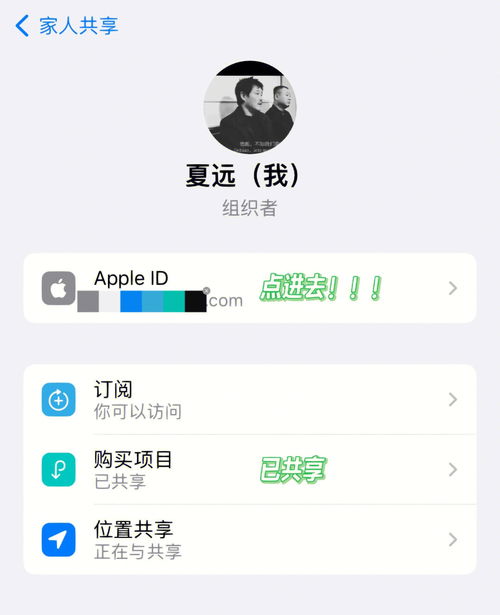 苹果Apple one超大杯 全家桶 最详尽教程 