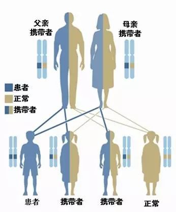 痛风患者最关心的问题之一 痛风到底会不会遗传