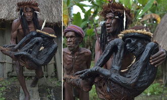 印尼原始部落将祖先尸体制成木乃伊 可保存几百年 