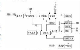 焦化废水处理毕业论文