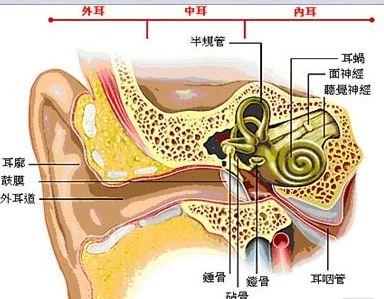 怎么治疗粘连性中耳炎