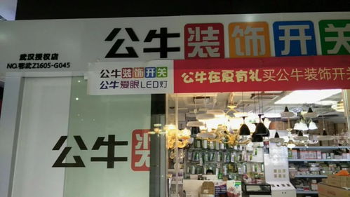 舵落口家具市场在哪里(舵落口户外灯具批发)