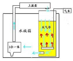 既想保持鱼缸清洁又想没有强大大的水流,我们是可以做到的 