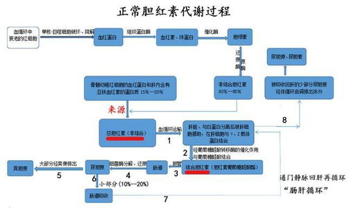 结合胆红素(结合胆红素的特点为)