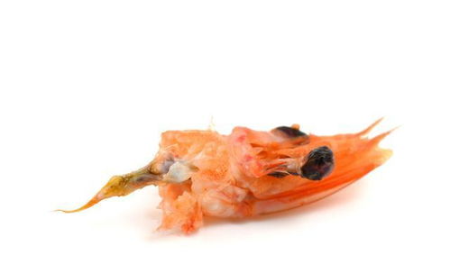 为什么有些人吃虾去虾头，有些人不去虾头虾头到底能不能吃
