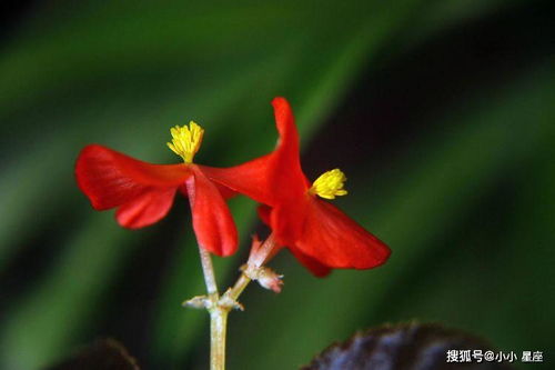 接下来三个月,几大星座苦尽甘来,财神家中坐,财富翻倍涨