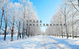 半生雪励志完整版