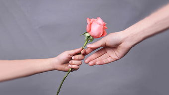 赠人玫瑰，手有余香的近义词？