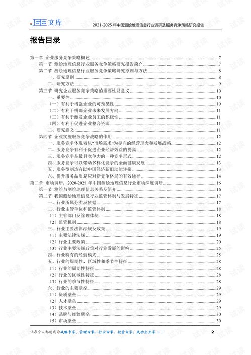 2021 2025年中国测绘地理信息行业调研及服务竞争策略研究报告.pdf