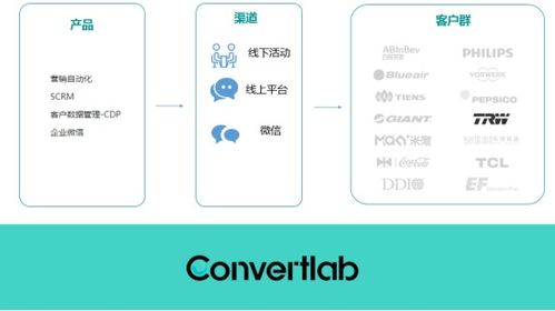 轮文查重服务-一站式解决方案