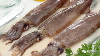 因中国渔船在阿捕捞鱿鱼受阻,秘鲁鱿鱼被批准重返中国市场