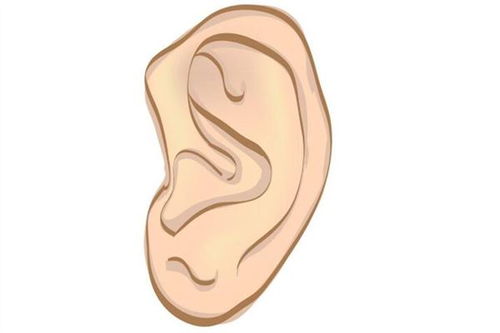 耳朵是反骨的人的面相分析