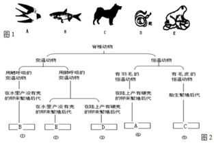 科学家对动物进行分类时往往要根据它们的形态.结构和生理特征.让我们也来尝试做个科学家吧.请根据下列特征描述.帮助 图1 各种动物找到它们的 家 . 请用字母表示 