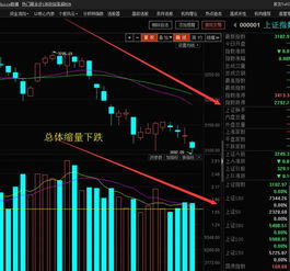 股票上面的每十股送五股或者送十股是怎么回事？是真的给我五股？？