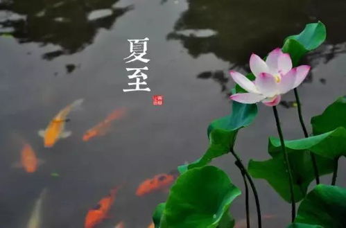 了解24节气有什么现实意义