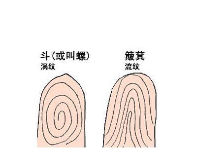 头角峥嵘面相图 头角峥嵘上一句